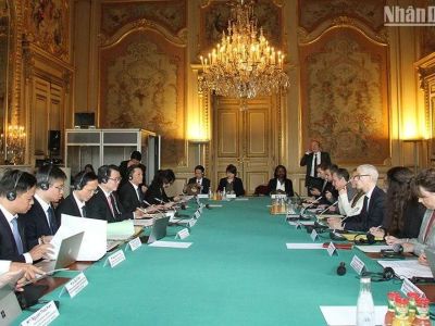 Việt Nam và Pháp xác định hướng hợp tác ưu tiên thời gian tới