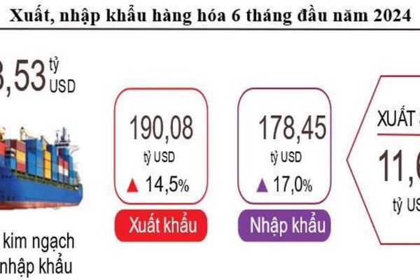 Xuất nhập khẩu hàng hóa - điểm sáng của kinh tế Việt Nam nửa đầu năm nay