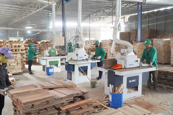 Cam Lộ: Nhiều doanh nghiệp chế biến gỗ hoạt động cầm chừng do thiếu nguyên liệu và thị trường
