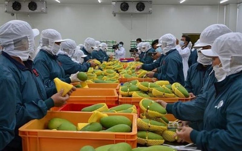 Dư địa thị trường xuất khẩu rau quả Việt Nam rất lớn