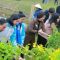Hội LHPN tỉnh Phú Thọ: Trồng 300 cây hoa trong dịp phát động 'Tết trồng cây' năm 2024