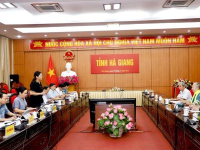 Phó Chủ tịch UBND tỉnh Hà Thị Minh Hạnh làm việc với Ban tài chính cơ sở hạ tầng bền vững Danida (DSIF)