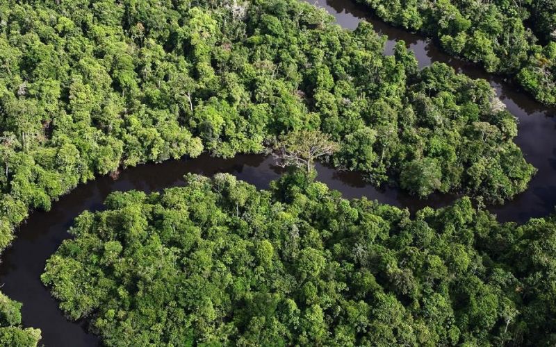 Sự thật về độ dài của sông Amazon: Liệu có vượt mặt sông Nile trở thành con sông dài nhất thế giới?