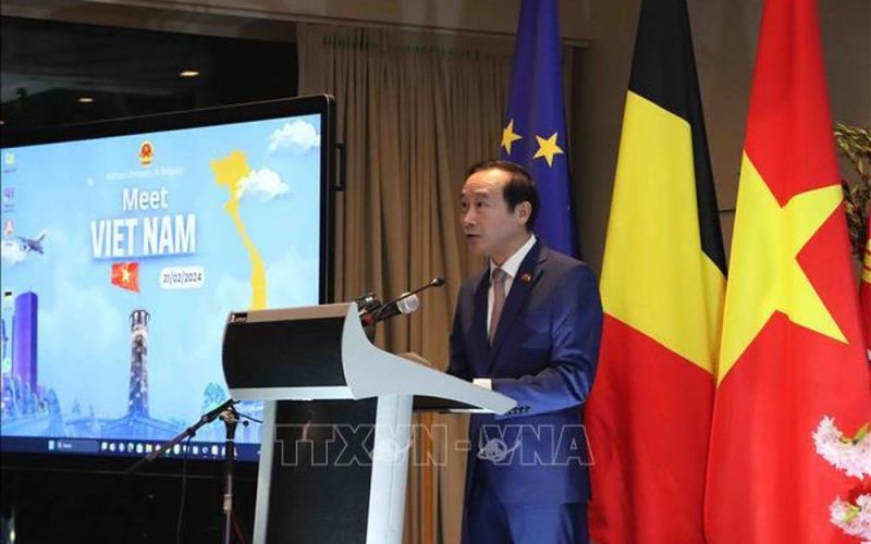 Thúc đẩy cơ hội hợp tác Việt Nam - Bỉ