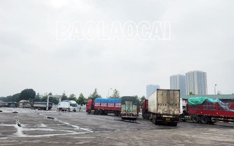 Tổ chức phân luồng phương tiện vận chuyển hàng nhập khẩu qua Cửa khẩu đường bộ Kim Thành