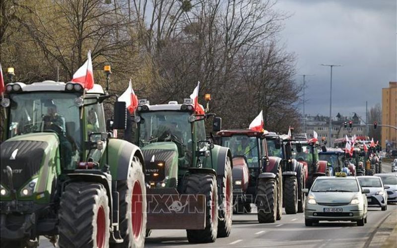 Ủy viên nông nghiệp EU đề xuất thay đổi chính sách nhằm xoa dịu nông dân